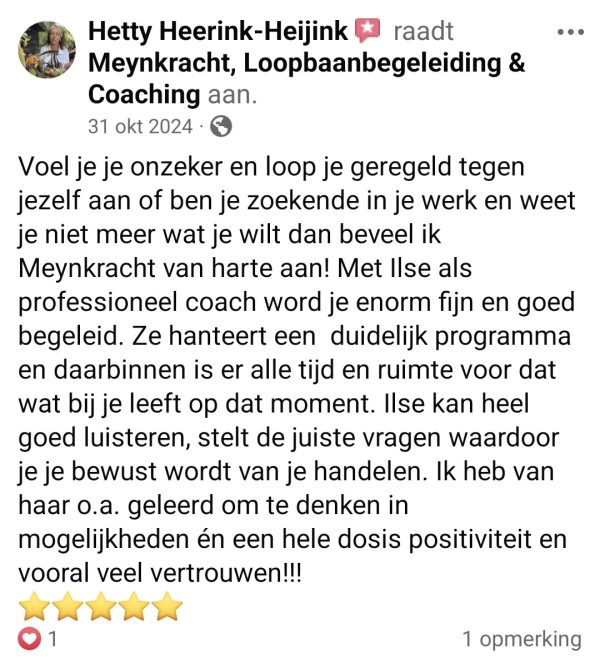 Recensie Hetty Heerink